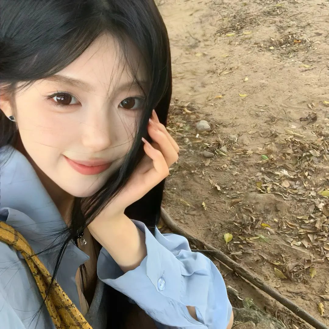 企鹅之岛：福克兰